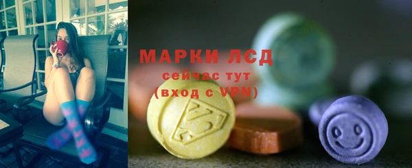 ешки Бородино