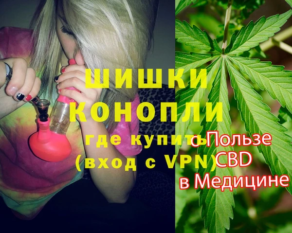 ешки Бородино