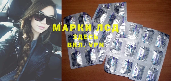 ешки Бородино