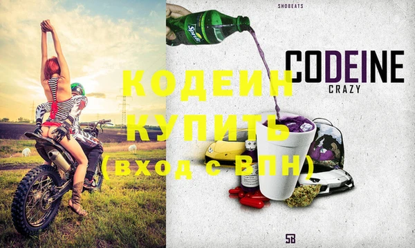 ешки Бородино