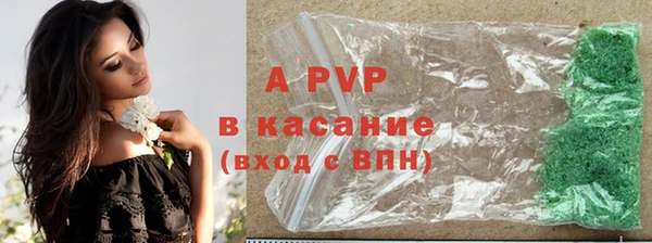 ешки Бородино