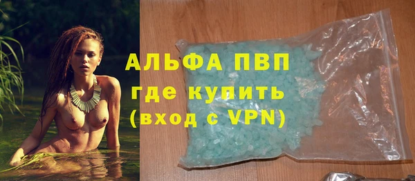 ешки Бородино