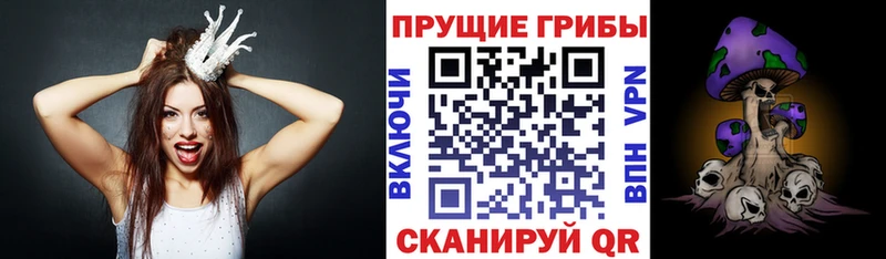 Галлюциногенные грибы Psilocybine cubensis Данков